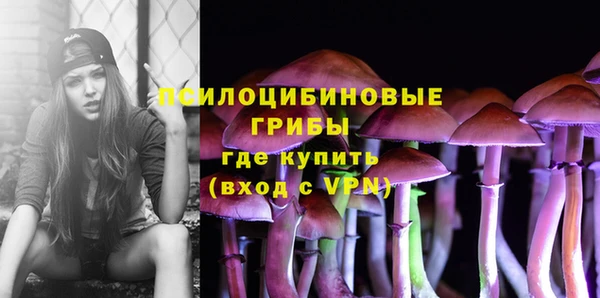 jwh Богородск