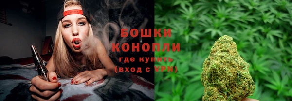 гашиш Богданович