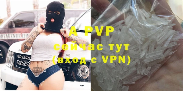 гашиш Богданович