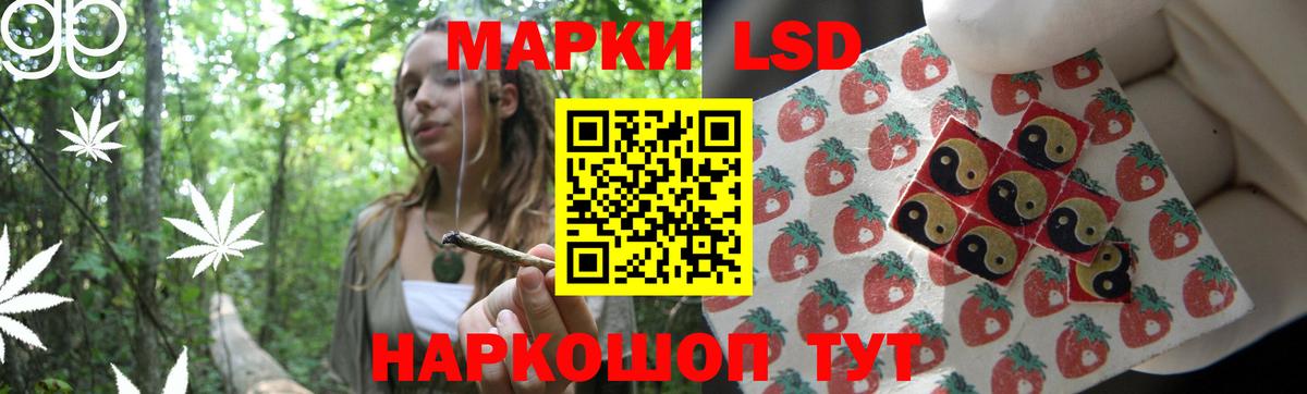 ЛСД экстази кислота  Вход с VPN  Городец  ЛСД экстази ecstasy 