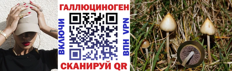 Псилоцибиновые грибы ЛСД  ОМГ ОМГ маркетплейс  Городец 