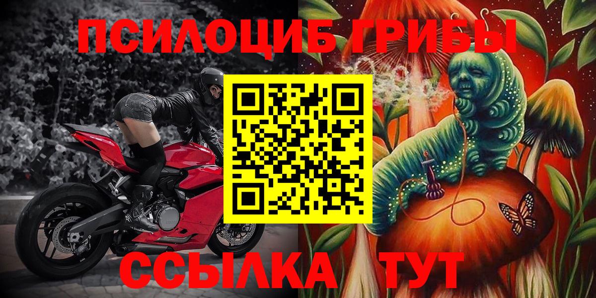 Городец  Галлюциногенные грибы GOLDEN TEACHER  Галлюциногенные грибы GOLDEN TEACHER  Вход с VPN 