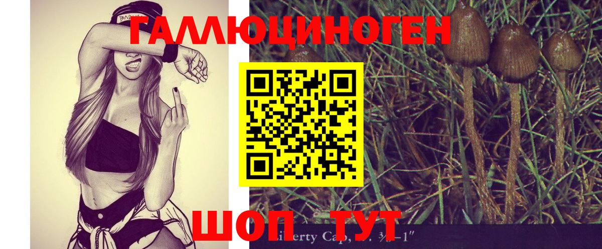 Псилоцибиновые грибы GOLDEN TEACHER Городец